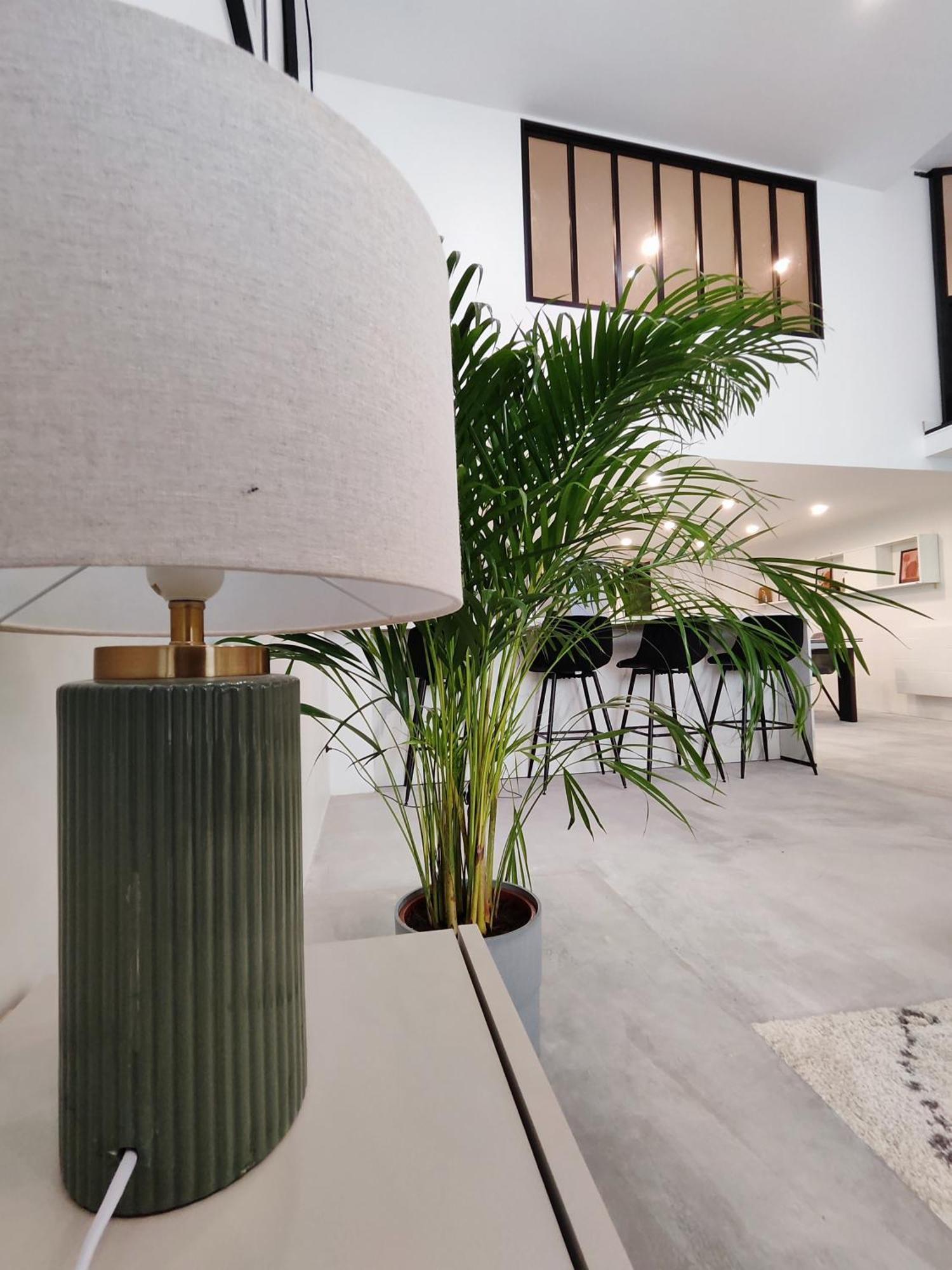 Beautiful Apartments & Loft In Beziers Center Exterior foto